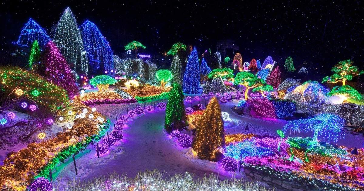 Garden of Morning Calm Lighting Festival Snowy Land Day Tour